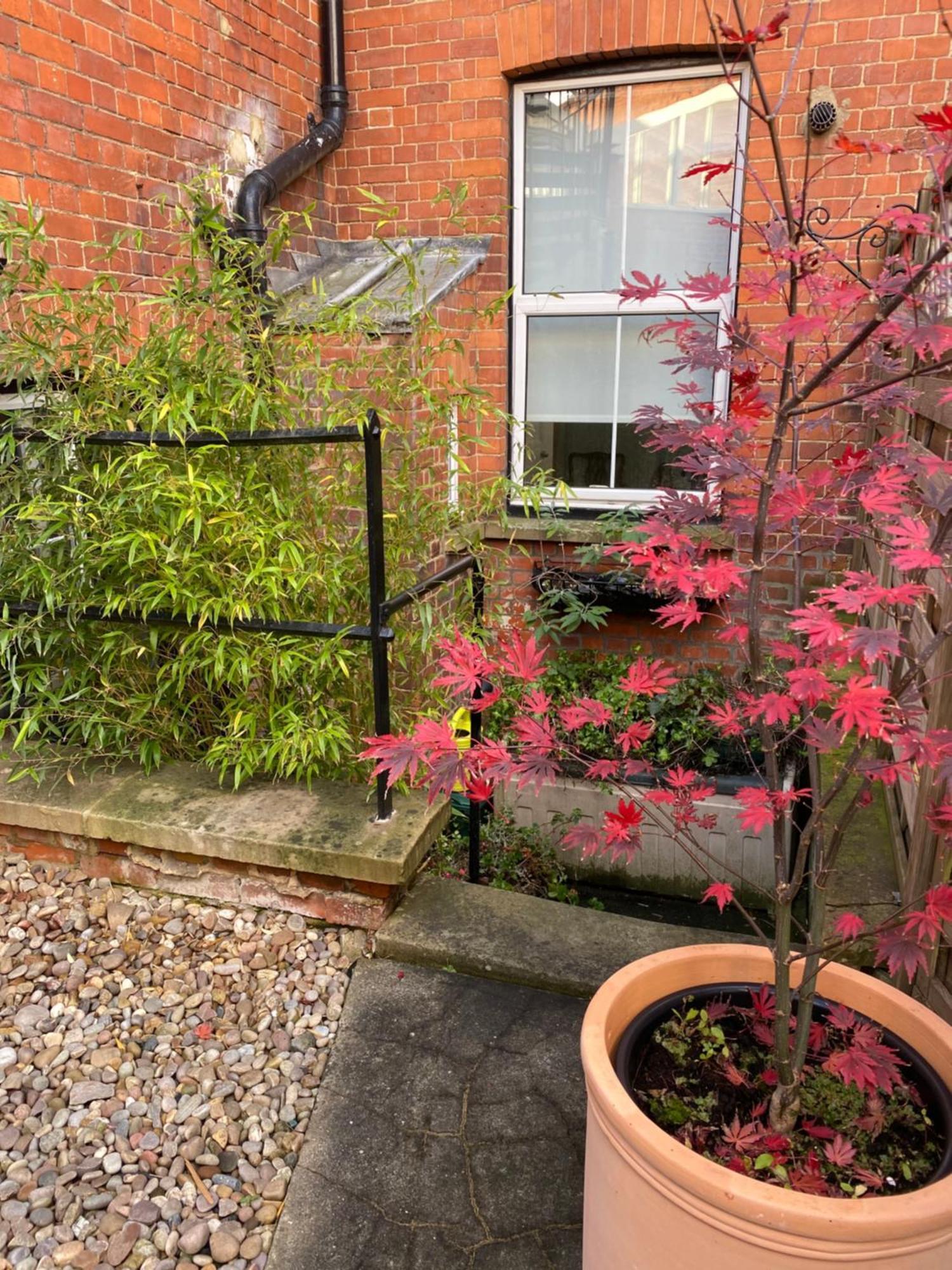 Deluxe Three Bed Bnb In Henley-On-Thames Near Station River & Town Centre Exterior foto